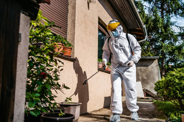Best Exterminator Services  in Wheeler, TX