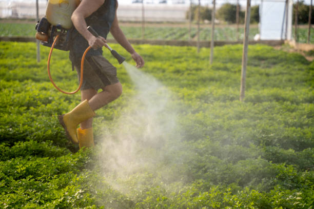 Best Mosquito Control Services  in Wheeler, TX