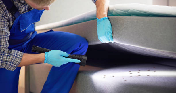 Best Pest Inspection Near Me  in Wheeler, TX