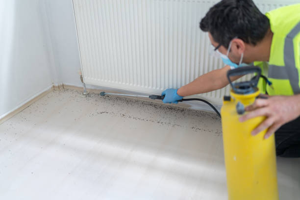 Trusted Wheeler, TX Pest Control Experts